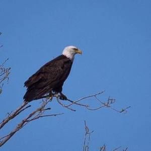 Meet your Posher, Dianna